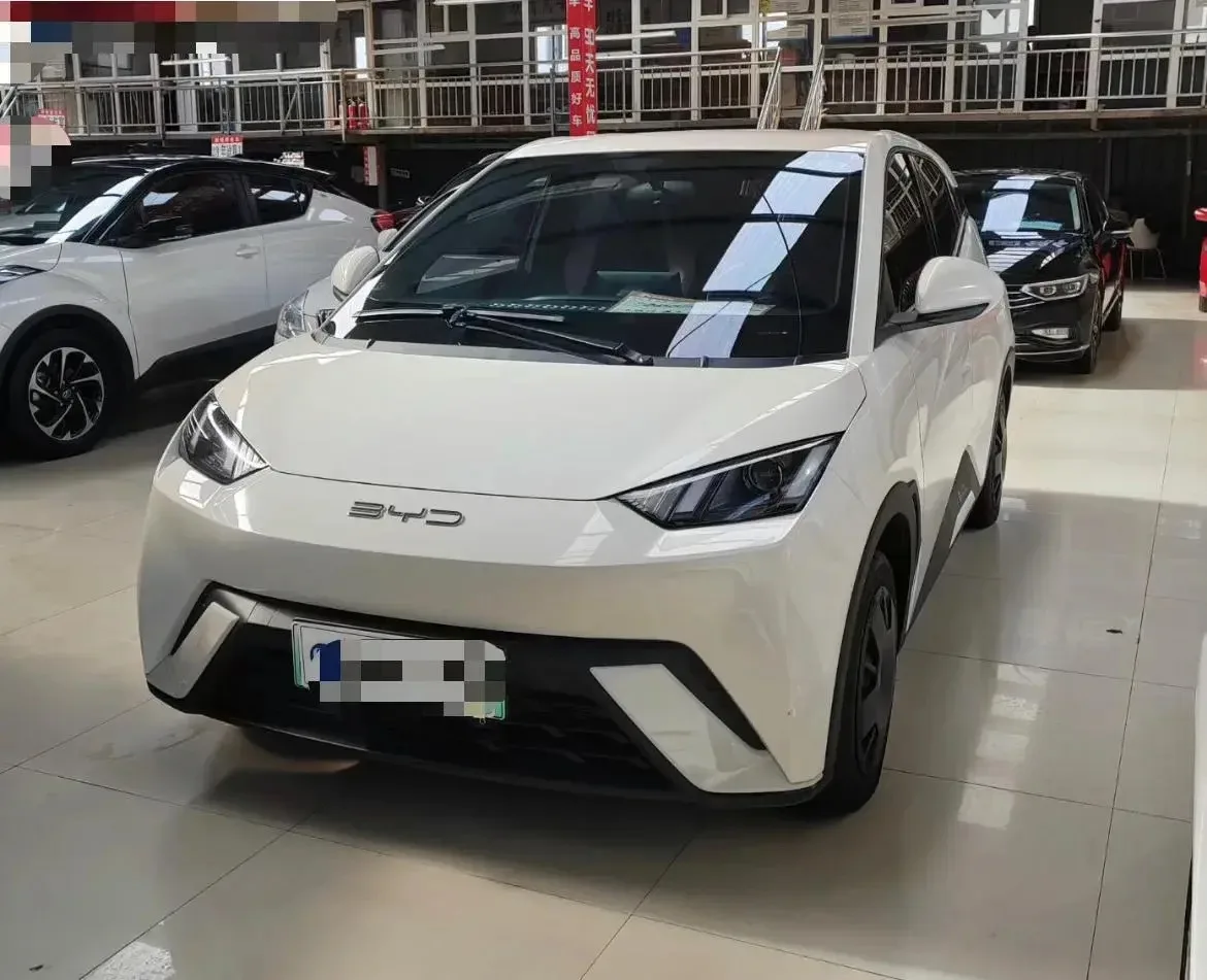 Доступен к заказу —> BYD Seagull