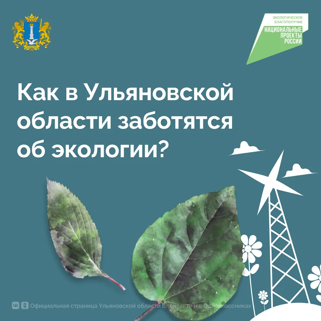🌿От посадки новых лесов до расчистки рек и благоустройства родников — в Ульяновской об...