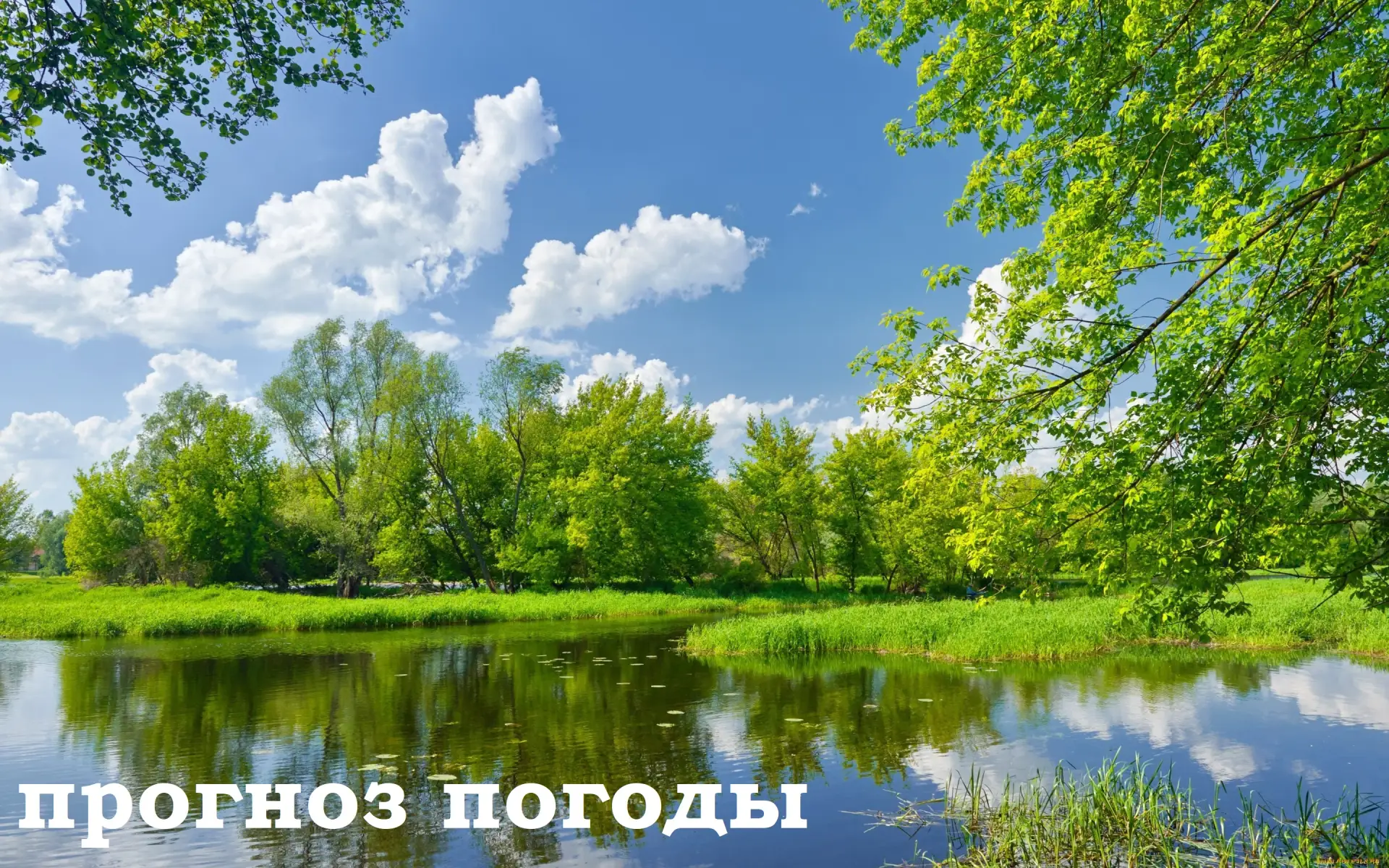 19 августа: переменная облачность, местами кратковременный дождь. Ветер южный 7-12 м/с,...