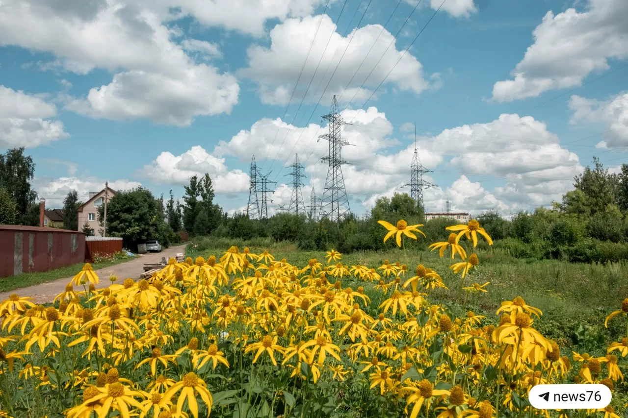 ☀️ Погода на 6 июля в Ярославле