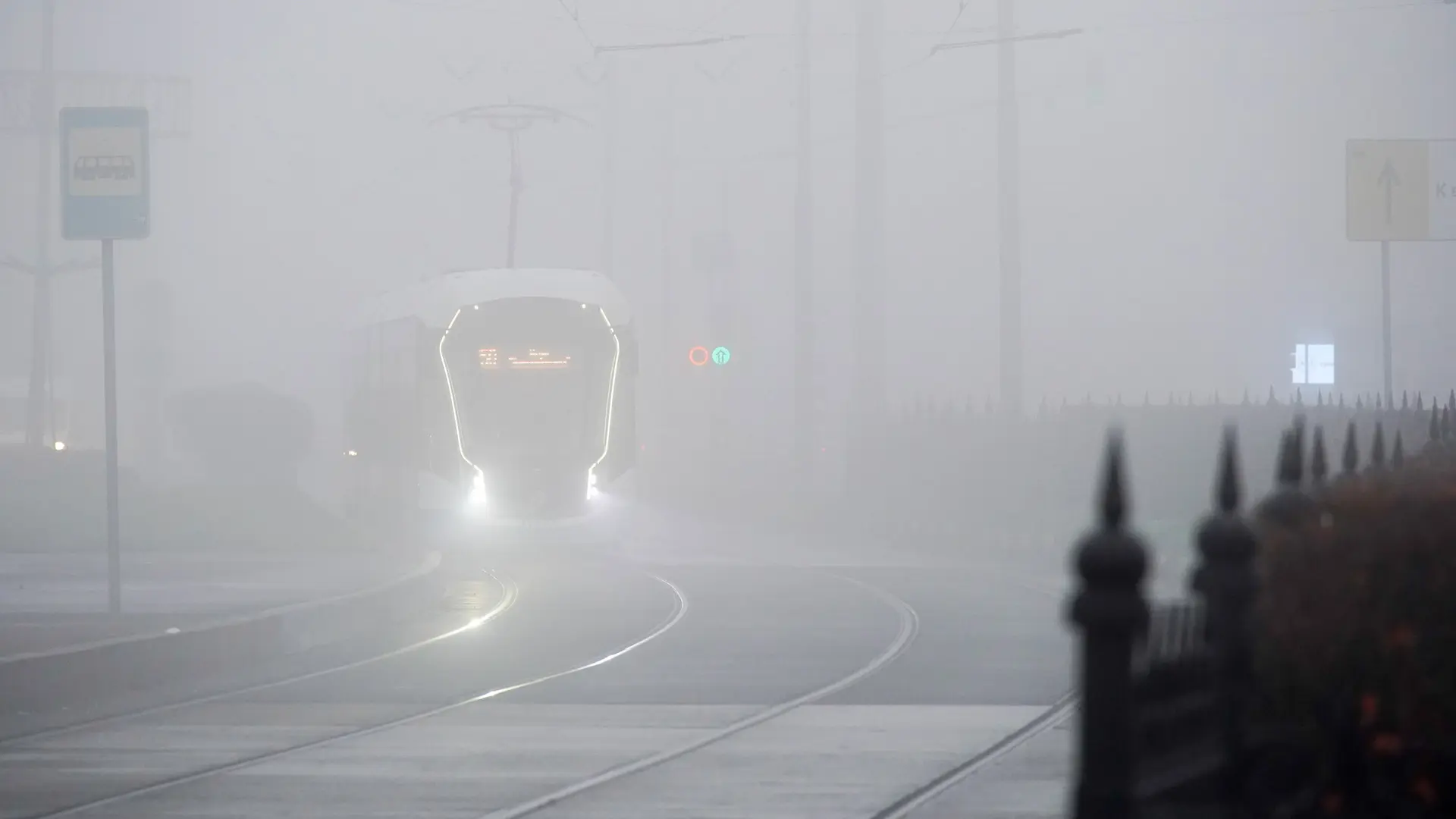 🌫 В Московском регионе объявили жёлтый уровень опасности из-за тумана и заморозков.