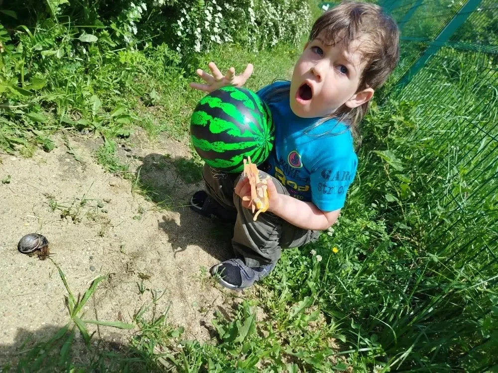 На прогулке мы гуляем,