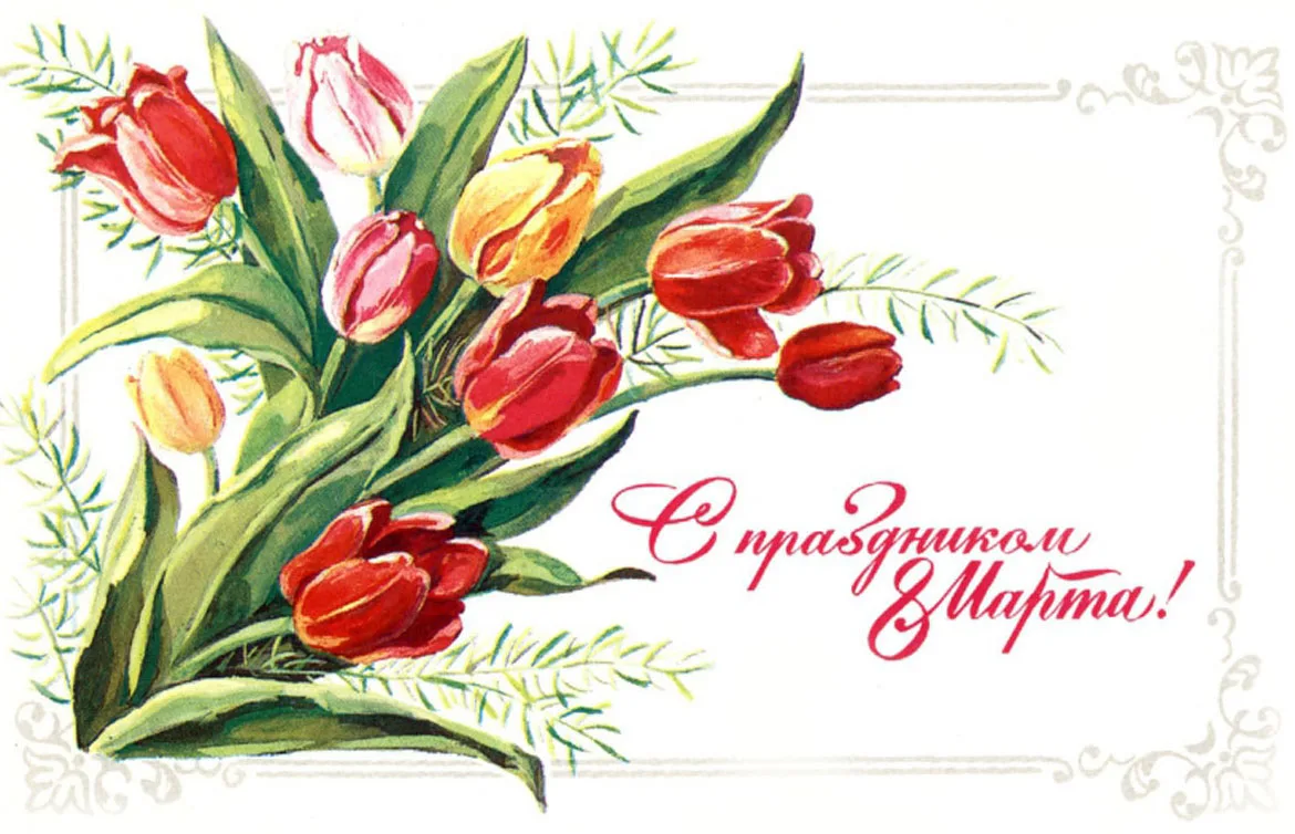 Милые женщины!