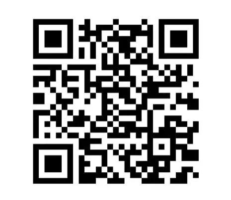 https://v.sber.ru/sms/mybill?cs=7536763607872
