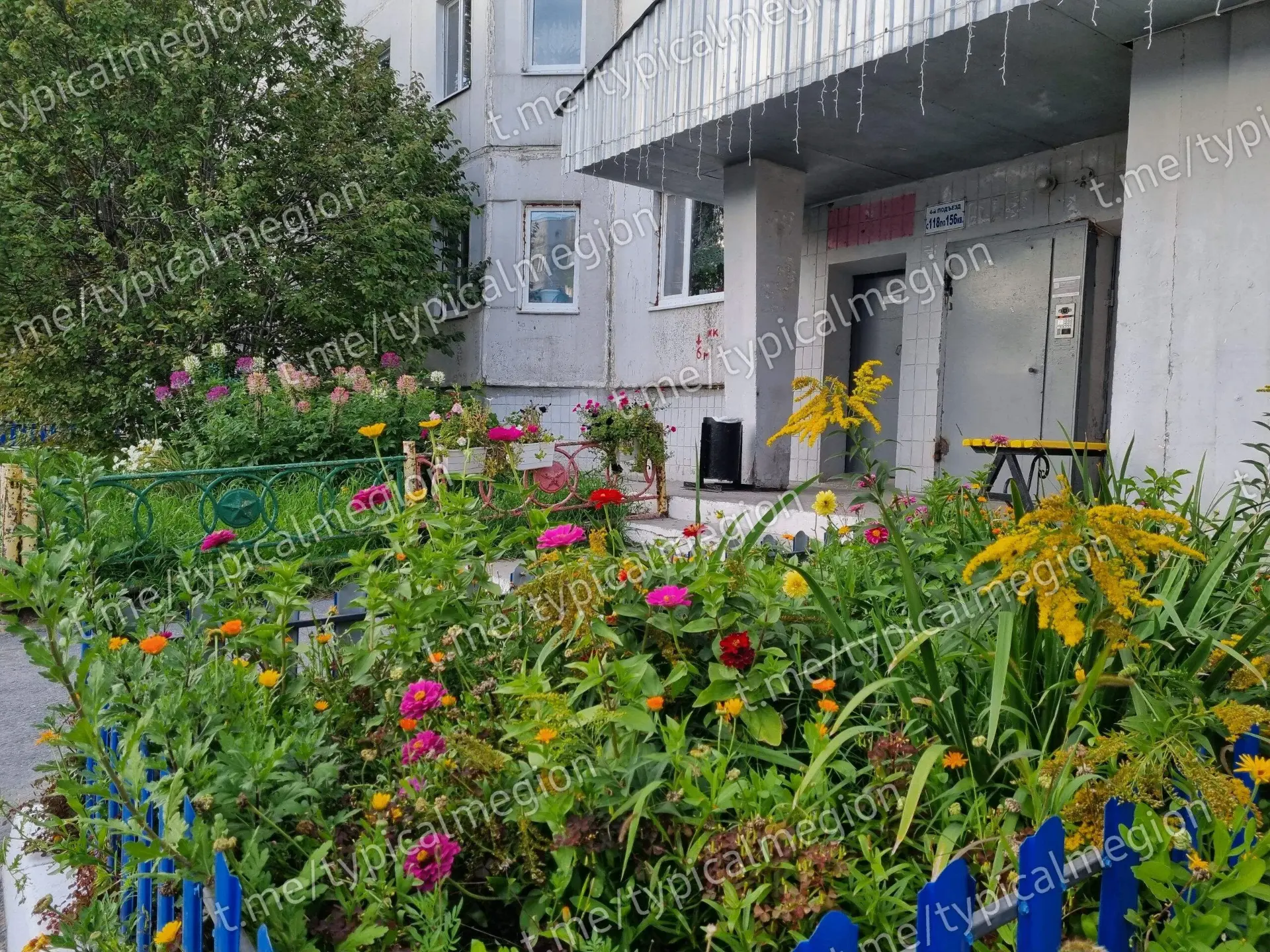Цветы на ул.Кузьмина 🌼🌺🌼