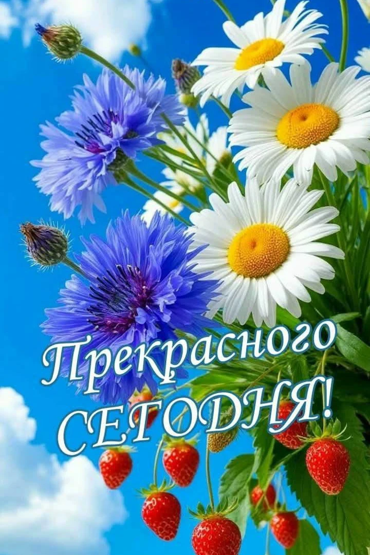 🌷 Открытки подписаться 👈