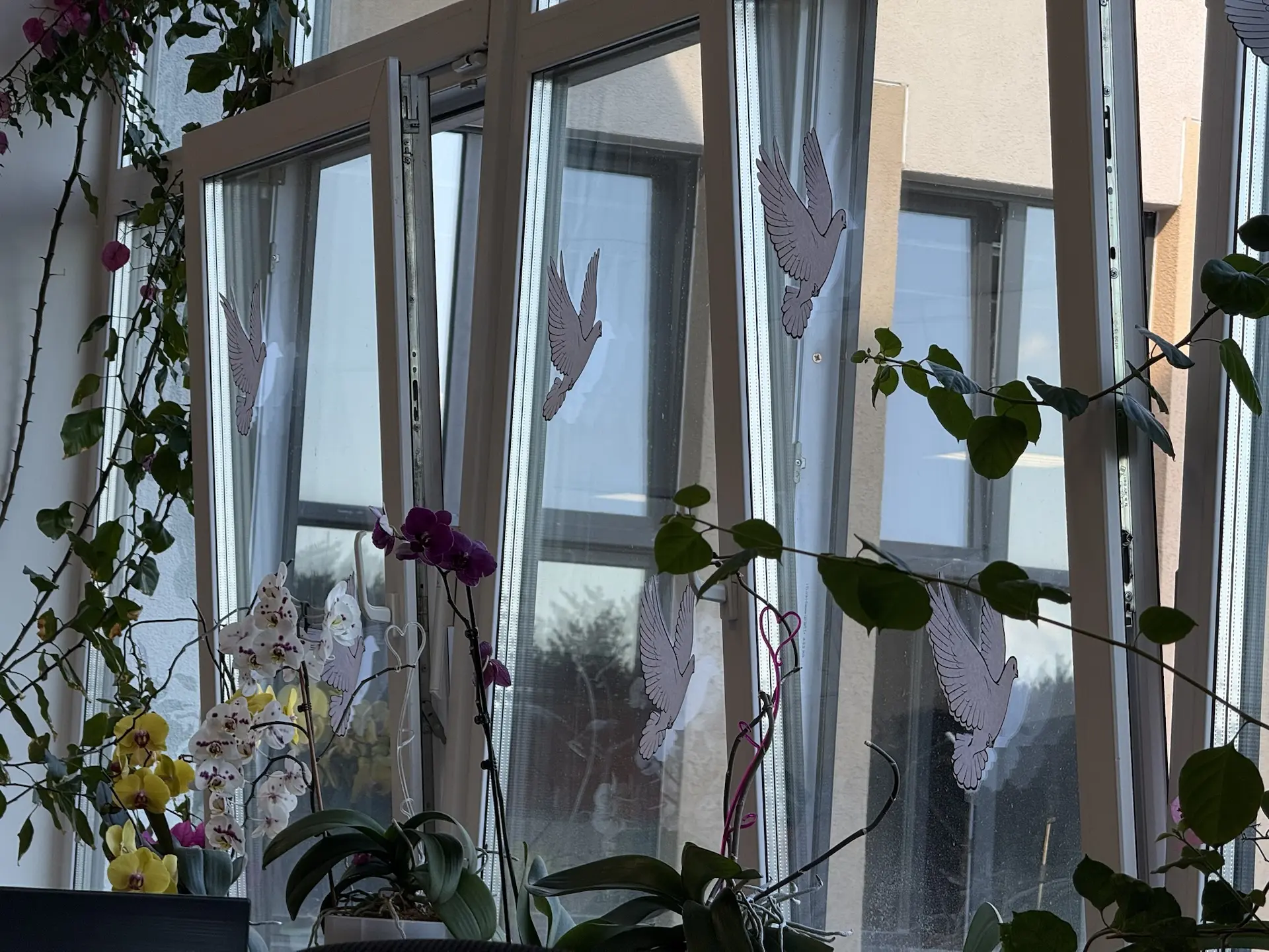 🕊Акция «Окна Победы»🕊   ⭐️В этом году мы вновь присоединились к этой замечательной акции!    🇷🇺 Акци