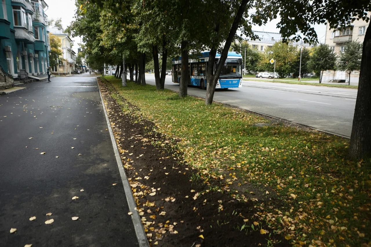 Калининский район начали озеленять - в этом сезоне у нас высадят более 650 деревьев и к...