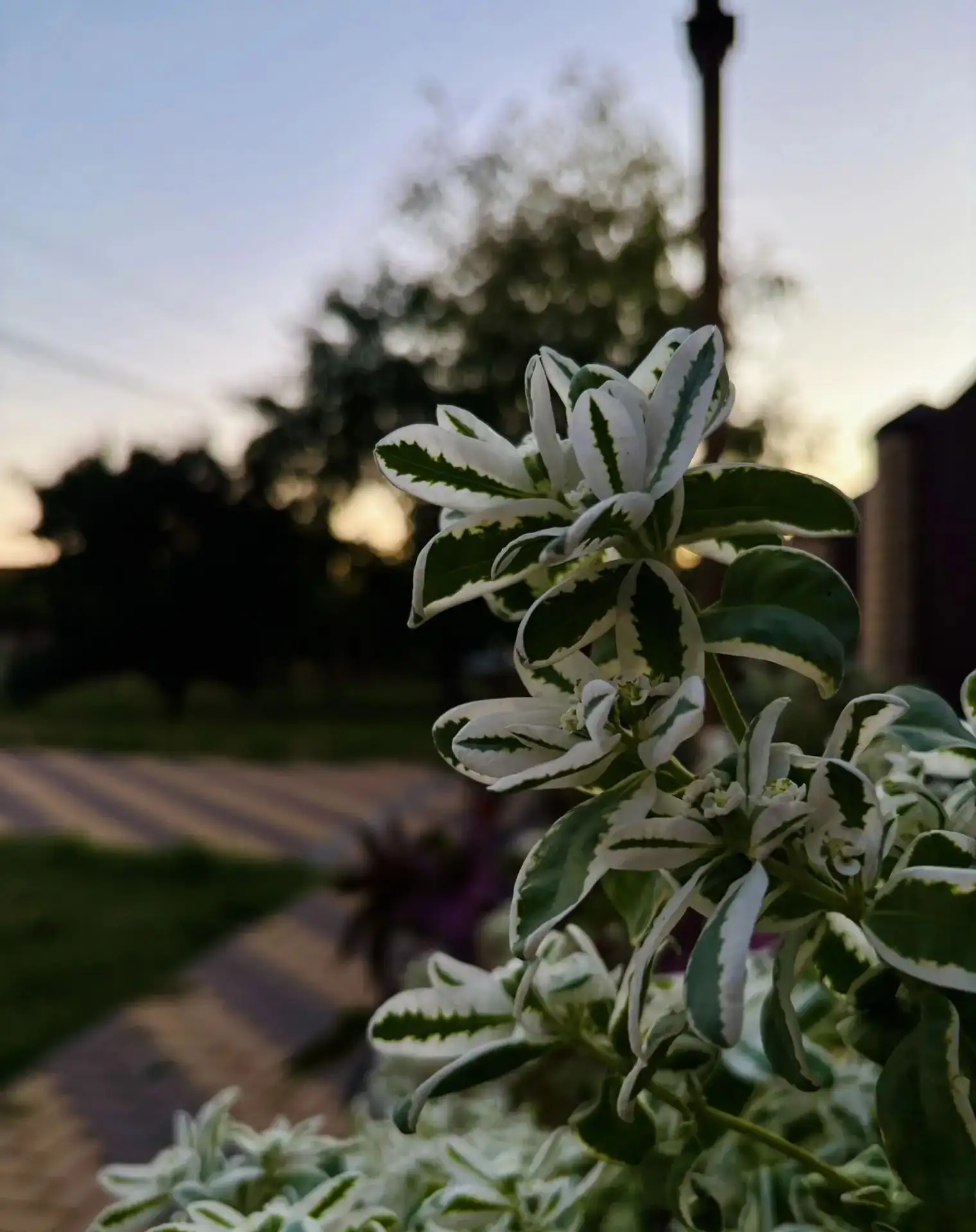 Пятница, Белоглинский район! 🥳