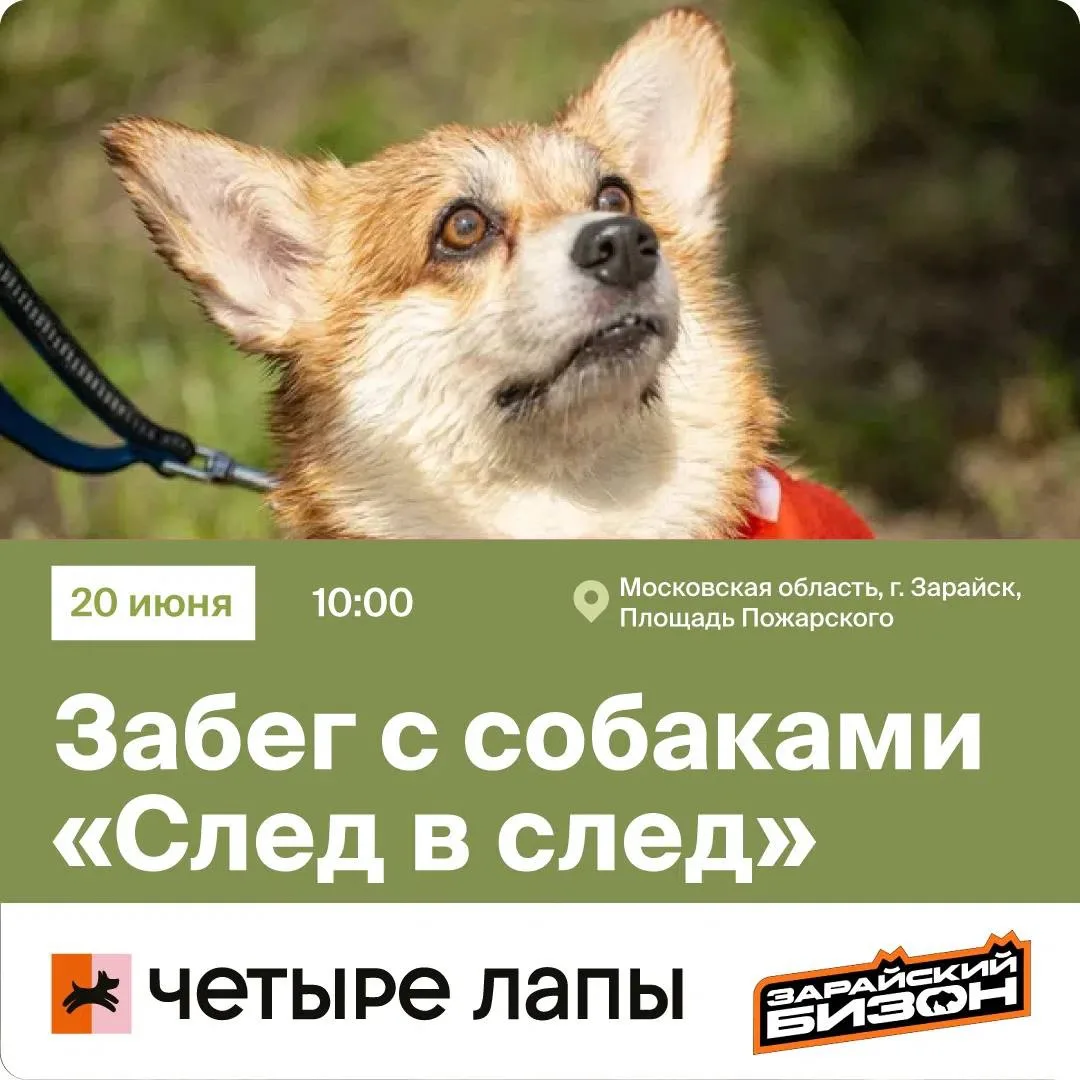 ХВОСТИКИ, НА СТАРТ! 🦮

Друзья! Рады сообщить, что забег с собаками «След в След» при поддержке комп