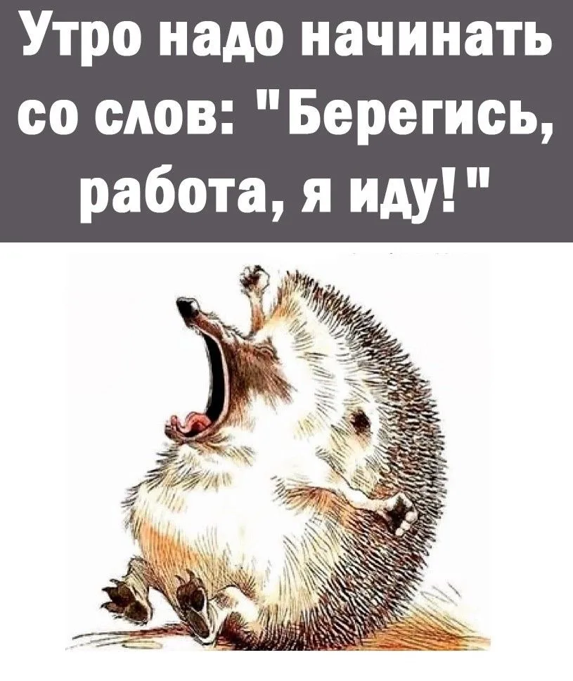 Рай открыток | Открытки 🥰