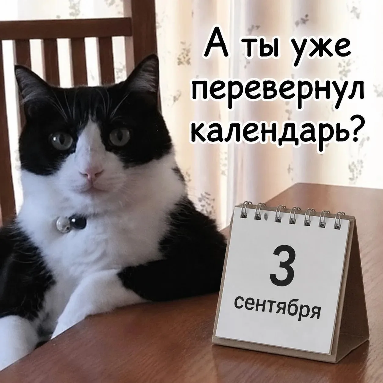 🍂🎶 И снова трееетье сентябряяяя…