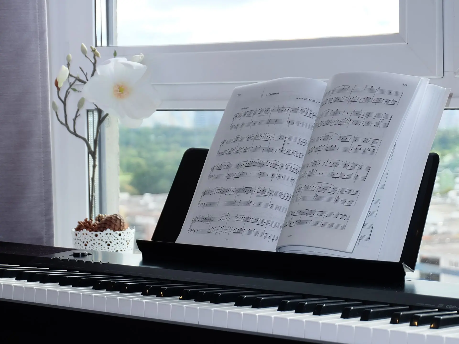 Рубрика: Мысли не о работе  🎼