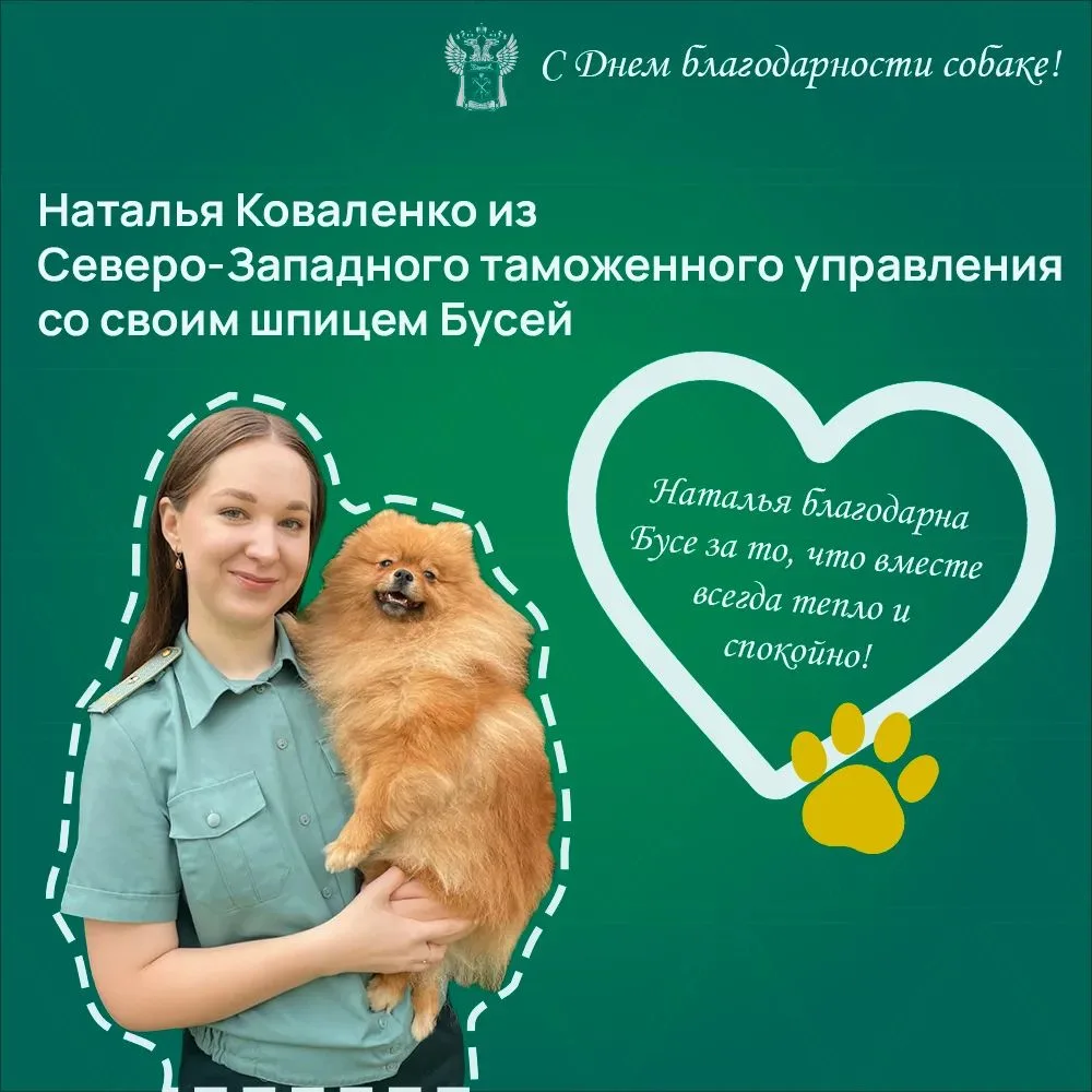 26 августа — День благодарности собаке