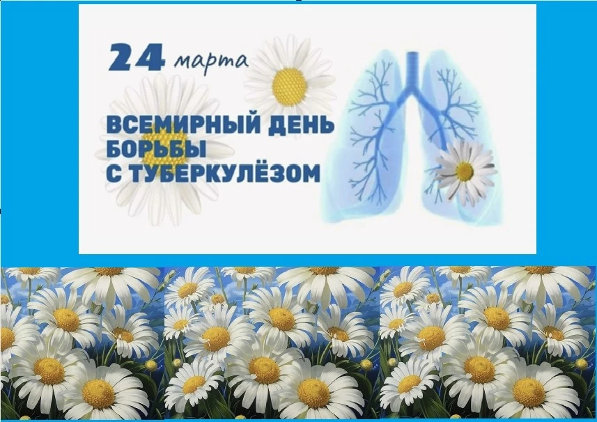 Классный час ко Всемирному дню борьбы с туберкулёзом  24 марта в группе ВЭВХ-331 прошёл классный час