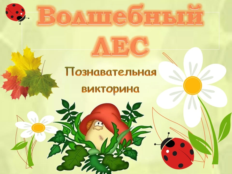 В библиотеке Пограничного МО было по-настоящему оживленно! Ребята отправились в увлекат...