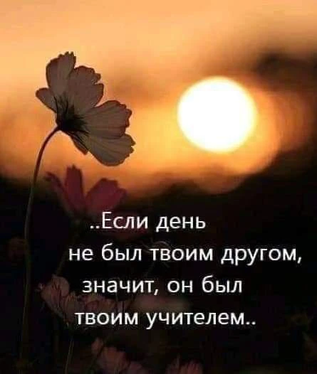 https://max.ru/invista123456