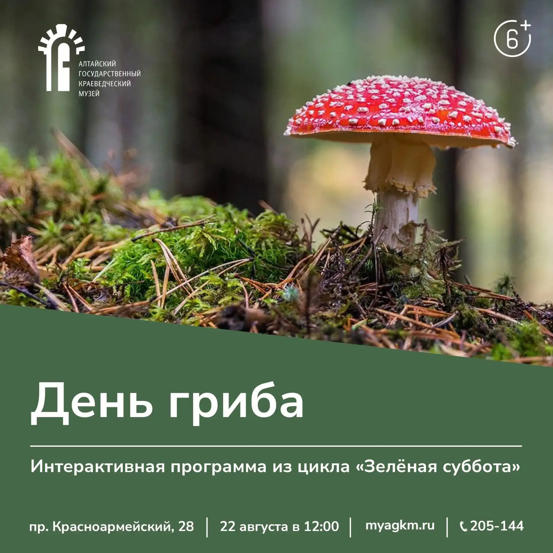 🍄В эту субботу мы докажем, что грибы — это самые загадочные создания на планете!