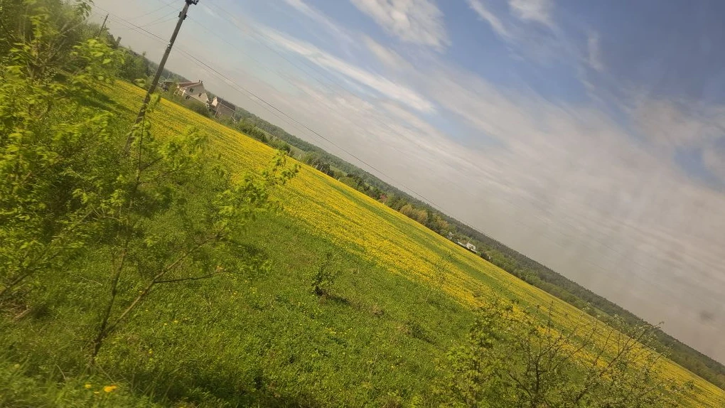 Невозможно не любоваться красотой весны 🥰 хочется остановить мгновение, вдыхать запах,...