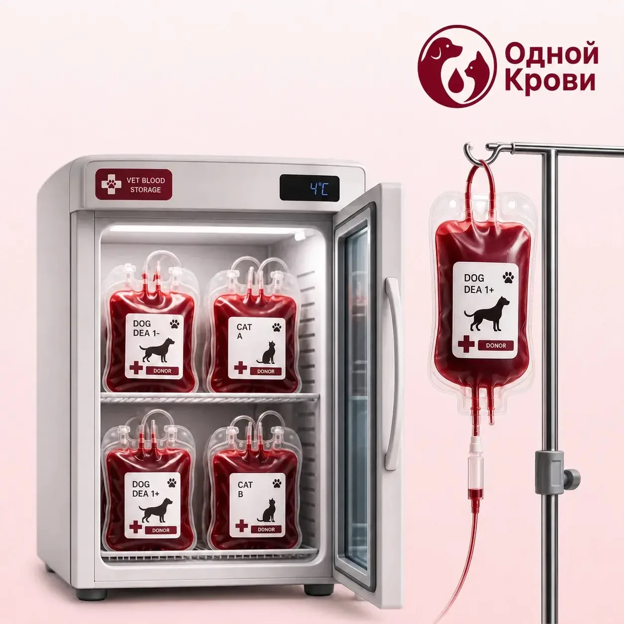 Случайная возможность спасти жизнь

Иногда у нас публикуют свободные пакеты донорской крови и прямо 