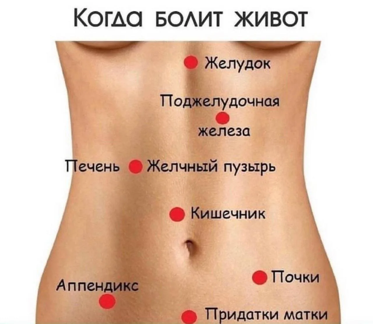 Полезно знать 🌿

⚠️  Информация предоставлена в ознакомительных целях и не заменяет медицинскую пом