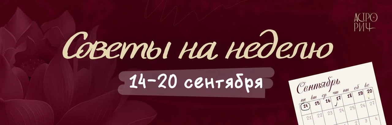 ⭐️Живи в унисон с миром⭐️
