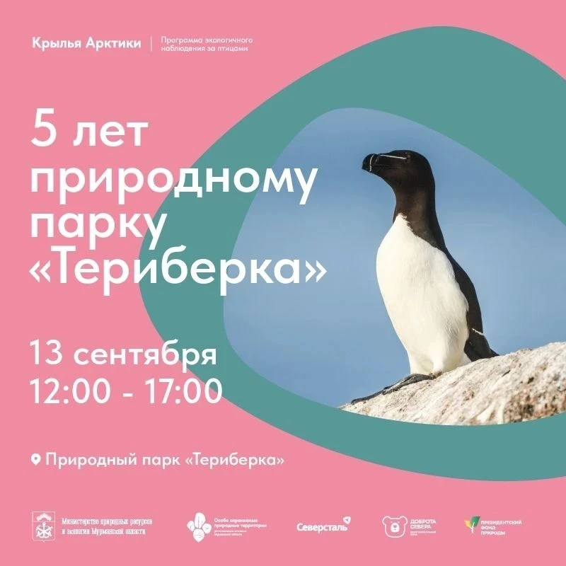 5 лет природному парку «Териберка»!🎉