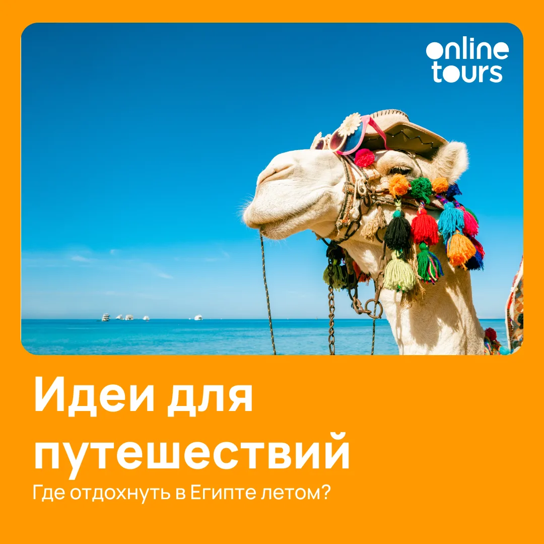 Где отдохнуть в Египте летом?
Если правильно выбрать курорт и бухту, отдых в Египте летом может полу