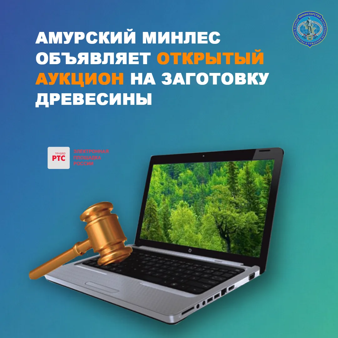 Объявляем открытый аукцион на аренду лесных участков для заготовки древесины в Белогорском муниципал