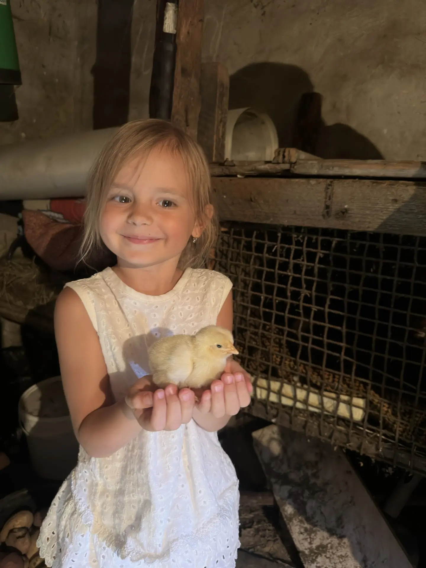 А это у нашего прадеда цыплята 🐥 появились