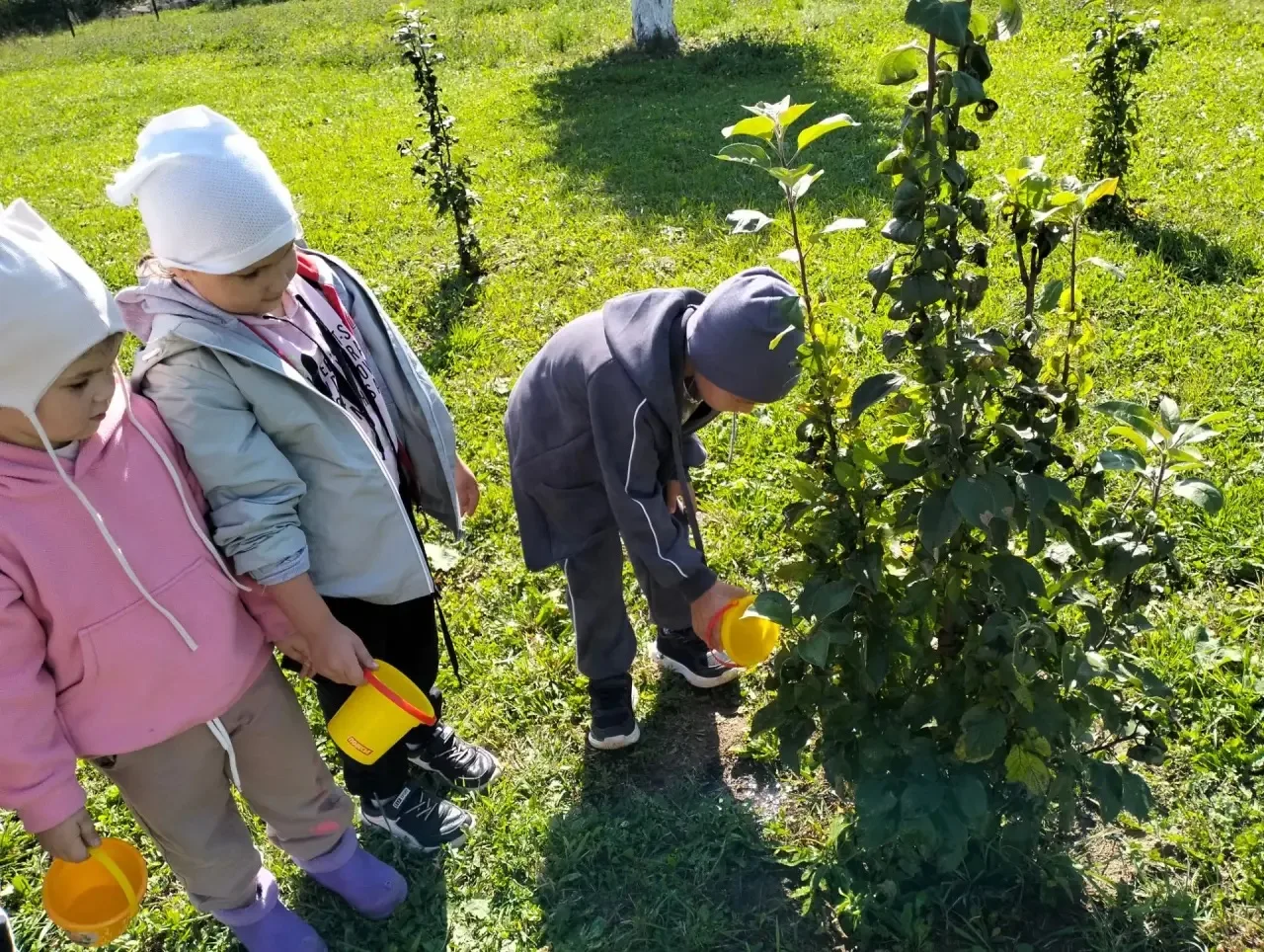 🌱В  День солидарности в борьбе с терроризмом воспитанники старшей группы приняли участ...