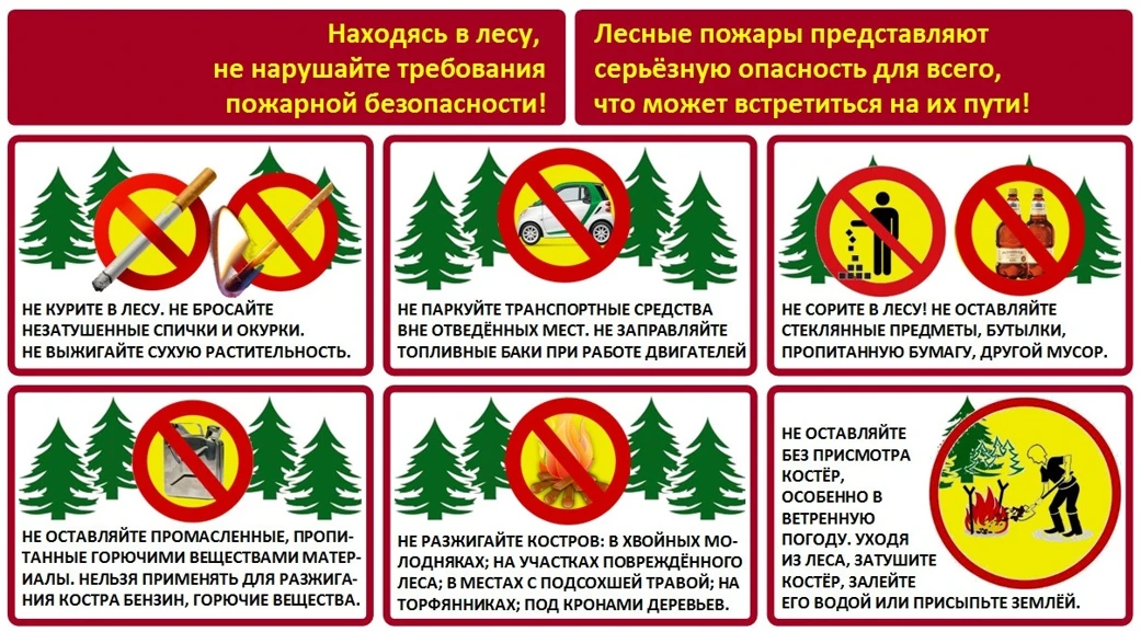 При сборе ягод и грибов,