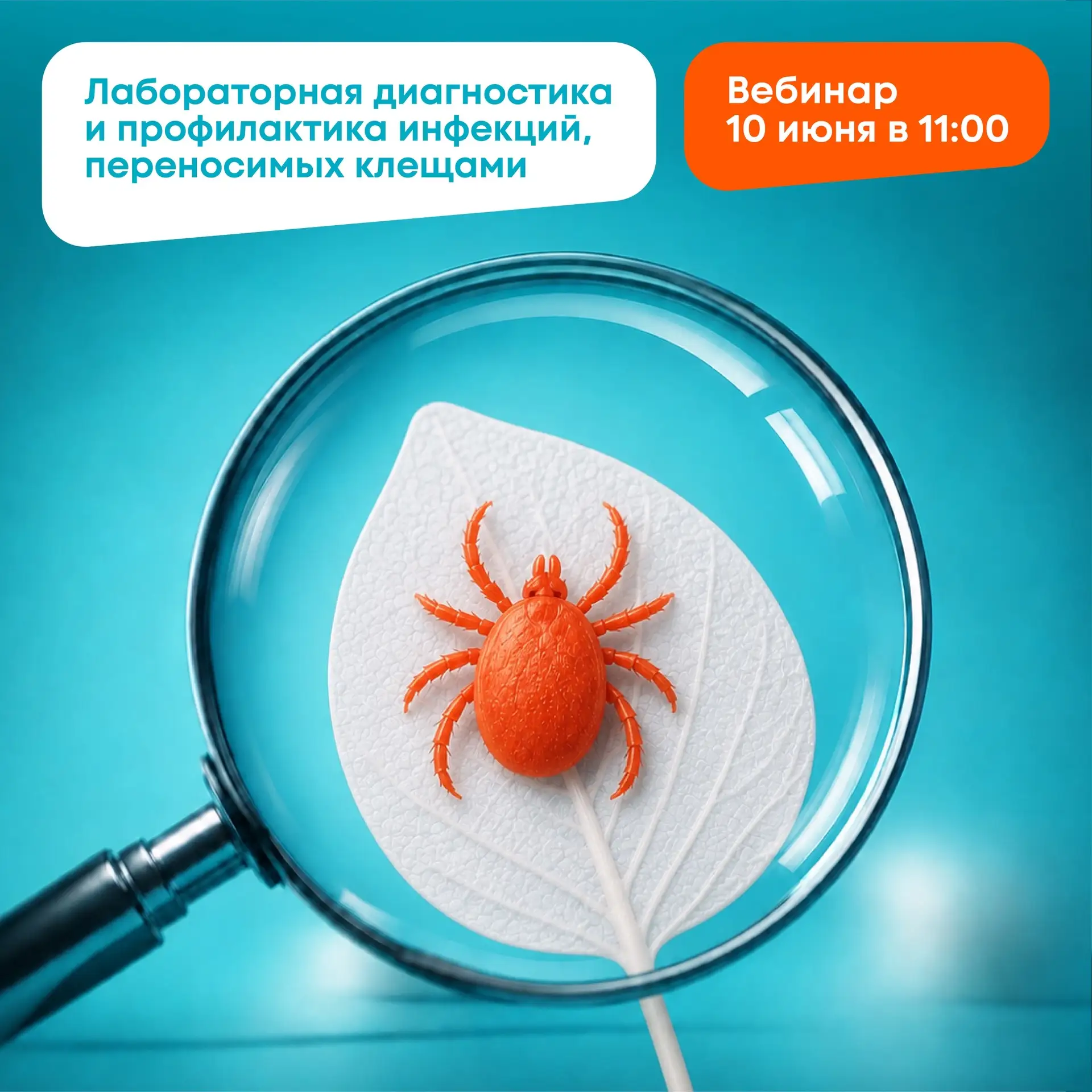 🔍Инфекции, переносимые клещами: методы диагностики, профилактики, терапевтические алгоритмы
 
Колле