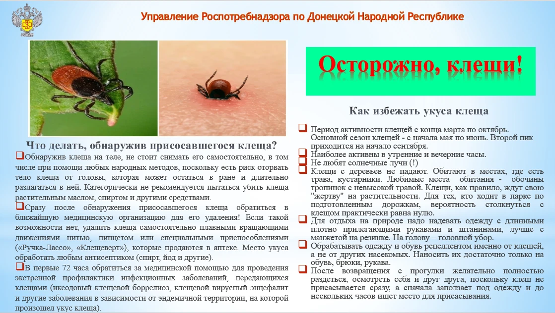 Осторожно, клещи...
Тематическая "горячая линия" для жителей города Горловка +7(949) 485 - 44 - 28  
