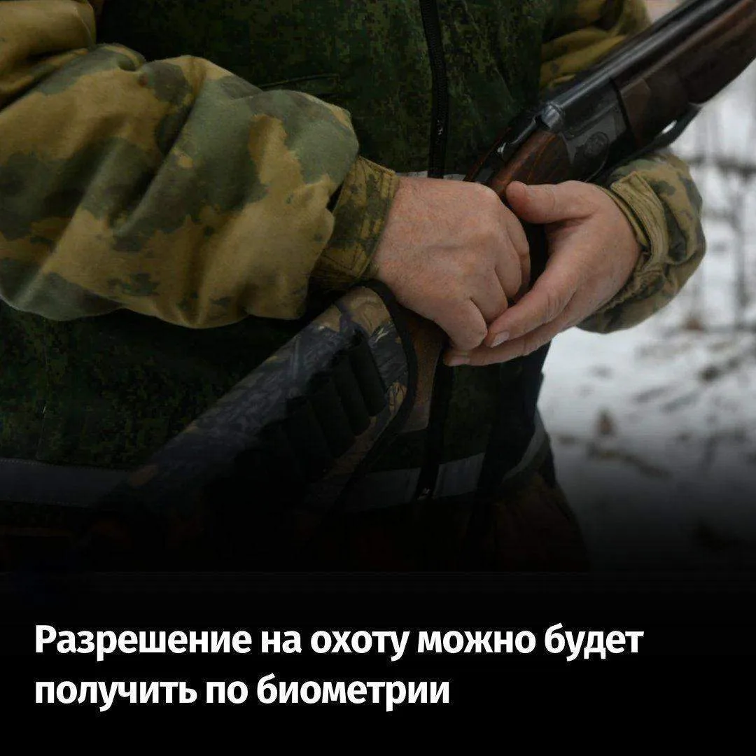 Разрешение на охоту можно будет получить по биометрии.