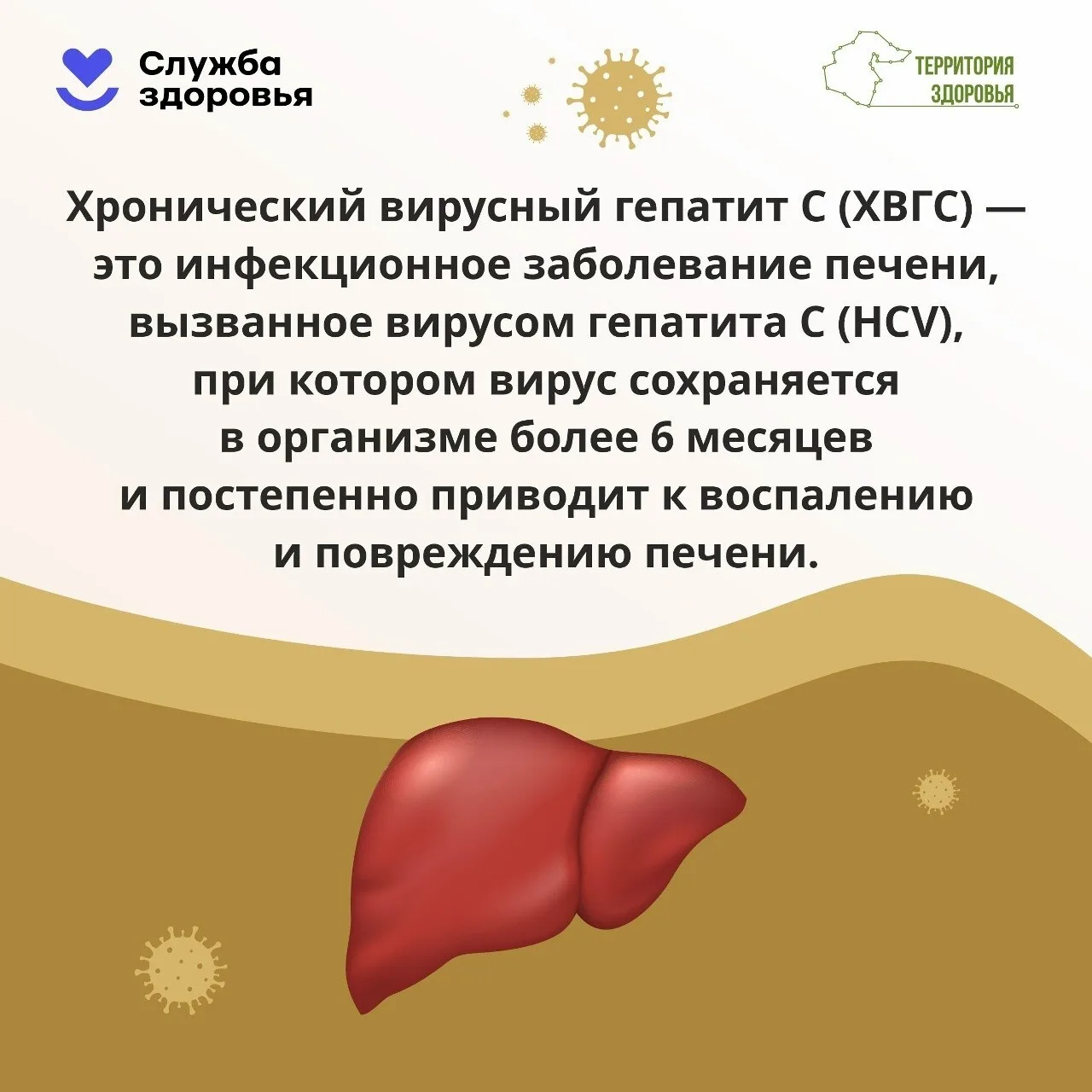 Гепатит С: бесплатный скрининг для всех взрослых