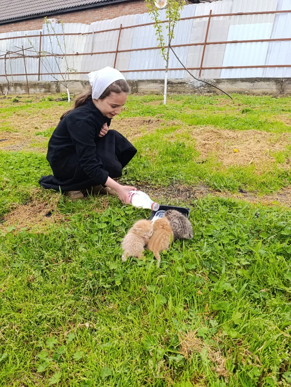 В мероприятиях ко Дню эколят приняла участие Балиева Халифа, ученица 1 А класса. Конкурс на лучшую ф