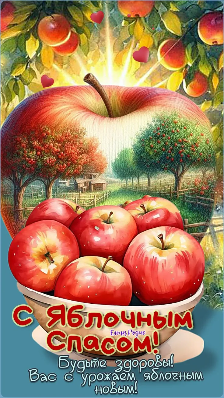 🍎🍎🍎🍎🍎🍎🍎🍎