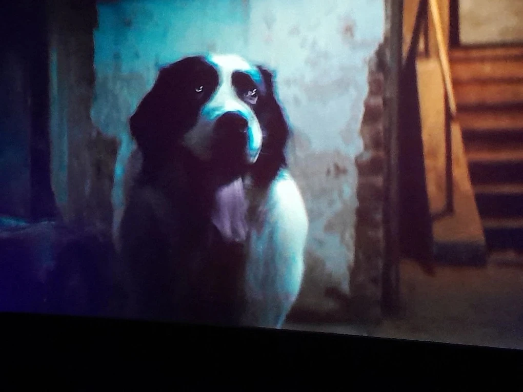 🐾 7А в кино: «Доктор Гаф» тронул сердца ребят 🎬🐶  Во время  весенних каникул ученики 7А класса вмест