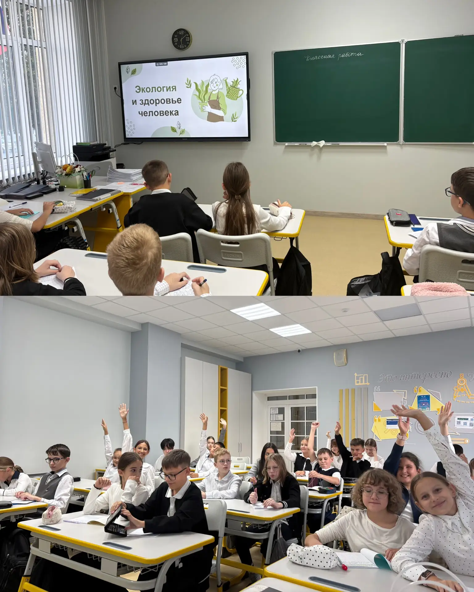 🌿 Экология — это интересно!