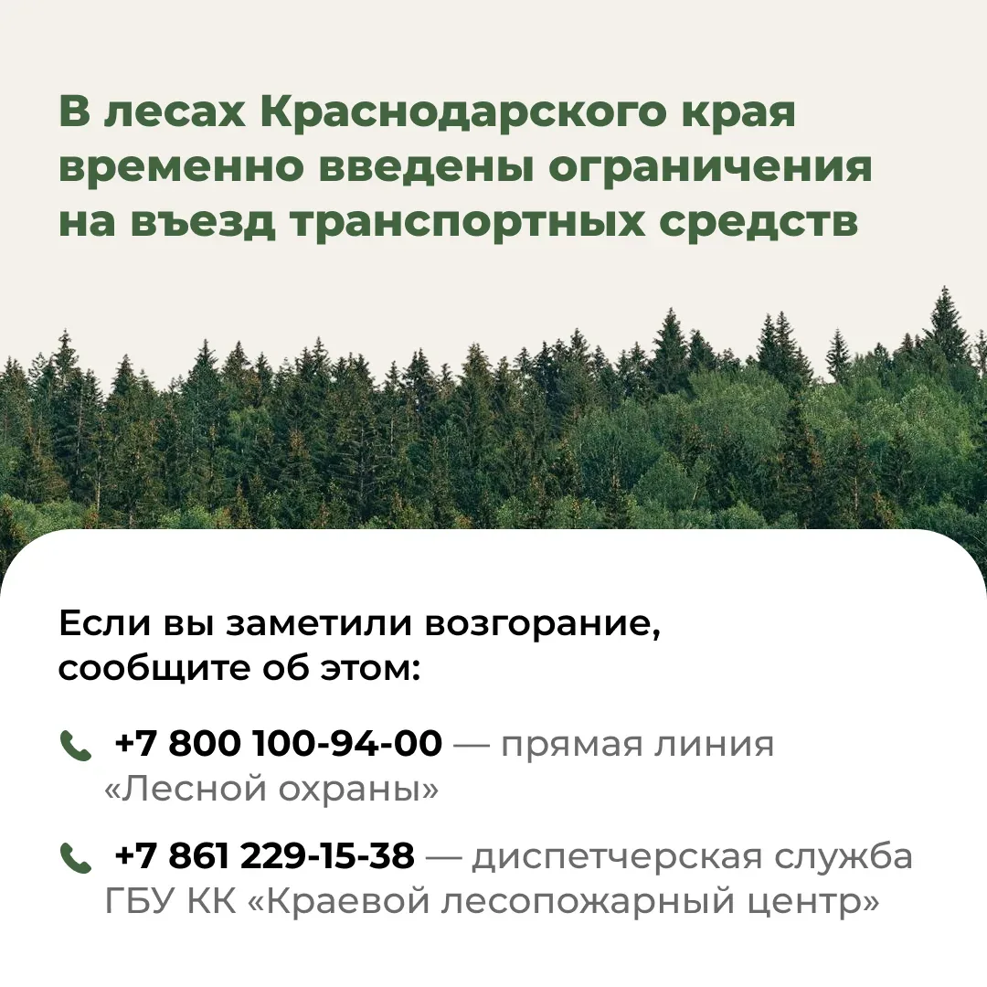 ❗ До 21 мая на Кубани действует ограничение на въезд в лесные массивы на личном транспорте.  🚶‍♂️ Пе