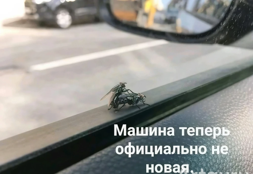 Авто из Китая: БУ или не БУ — вот в чём вопрос!