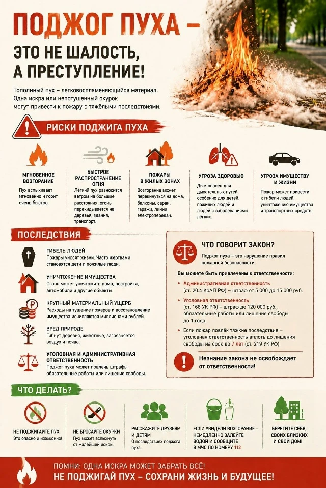 🌳 Сезон тополиного пуха в самом разгаре!

На улице уже вовсю цветут тополя, и пушистые облака летаю