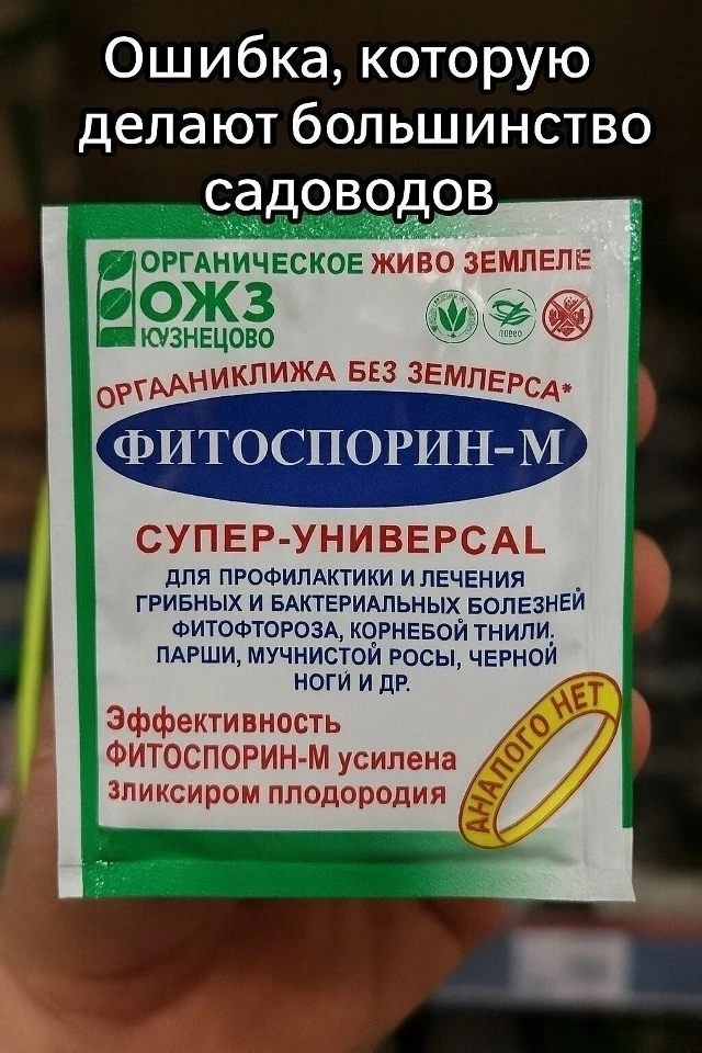 Почему «Фитоспорин» не работает — причина в типичной ошибке, которую совершают многие дачники.    Фи