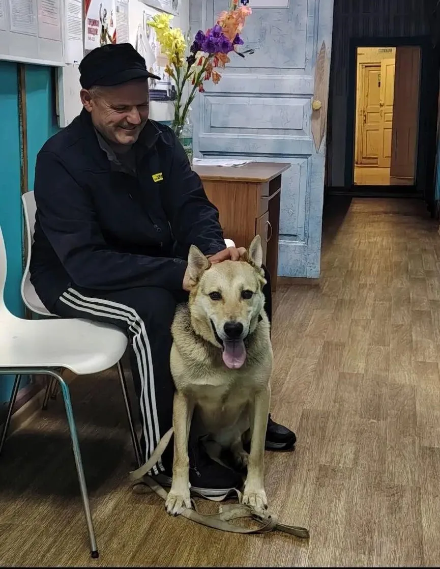 🐾🐾🐾Собачка Лора приходила на вакцинацию🐕🐶