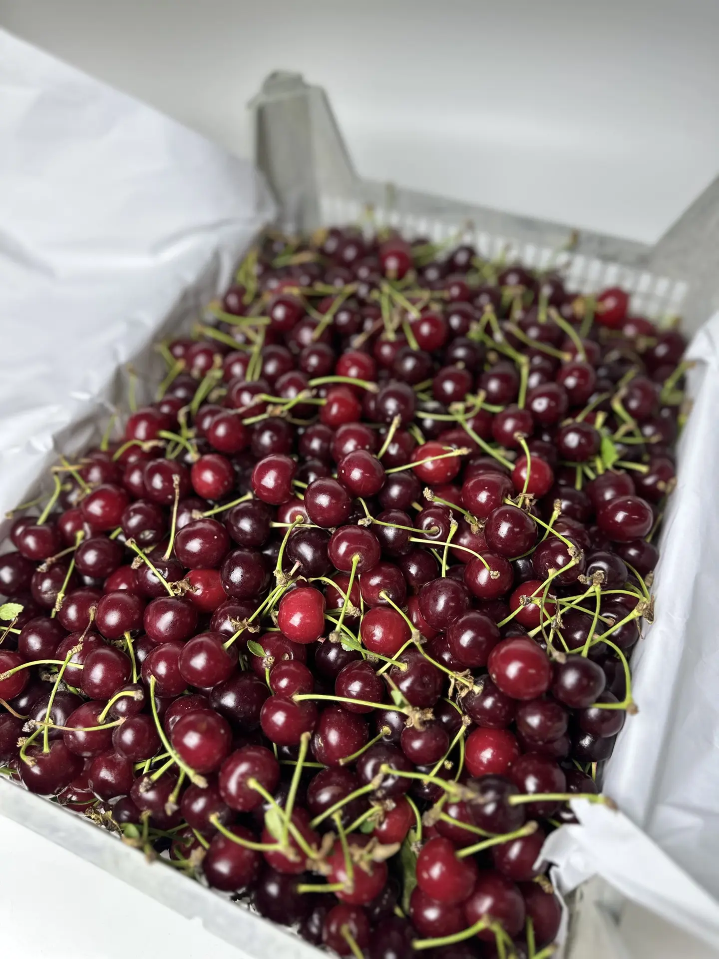 Вишня 🍒 

Цена 550 руб/кг