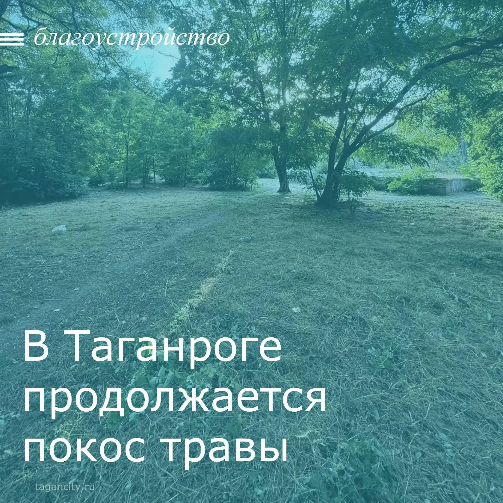 В Таганроге продолжаются работы по покосу травы.
📌На улице Чехова, 337/3 и Мариупольское Шоссе, 31-