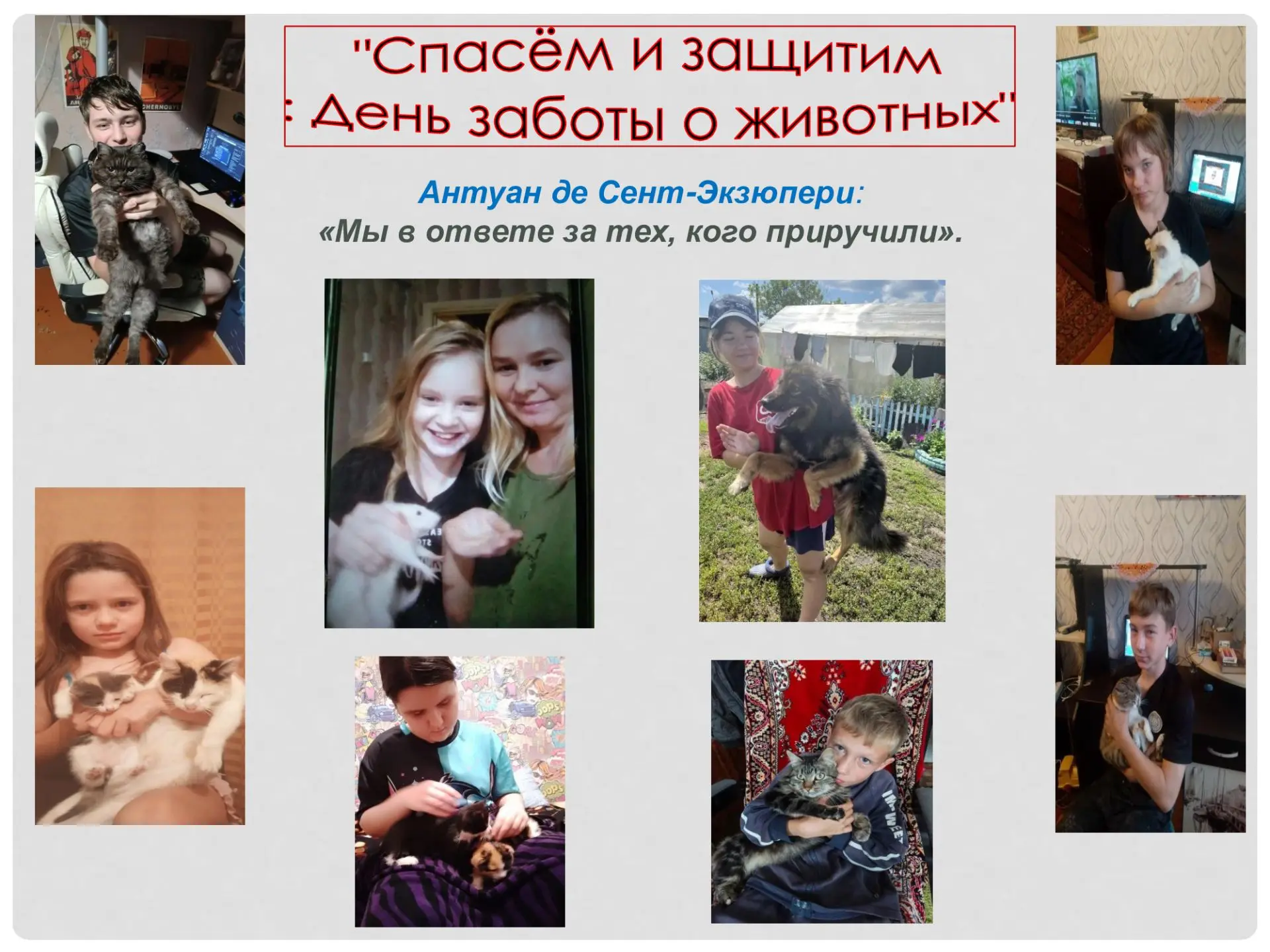 🐾 4 октября — Международный день защиты животных!🐾