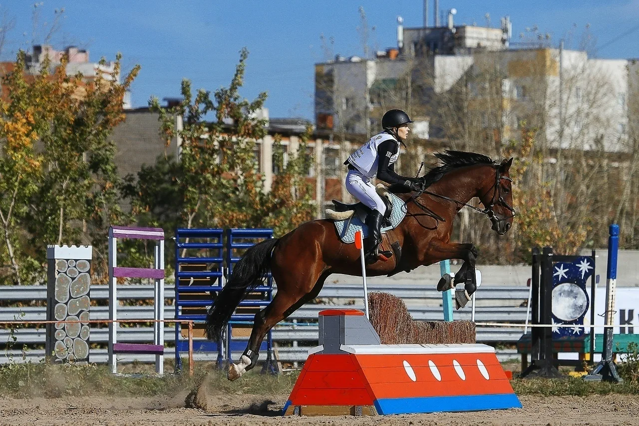 Турнир по конному спорту памяти Якова Неумоева пройдет в Тюмени 🐴