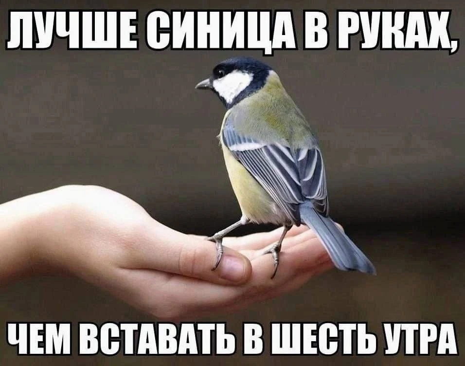 Доброе утро, коллеги!
